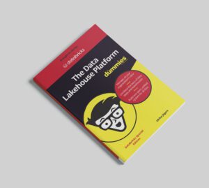 mockup of databricks for dummies guye