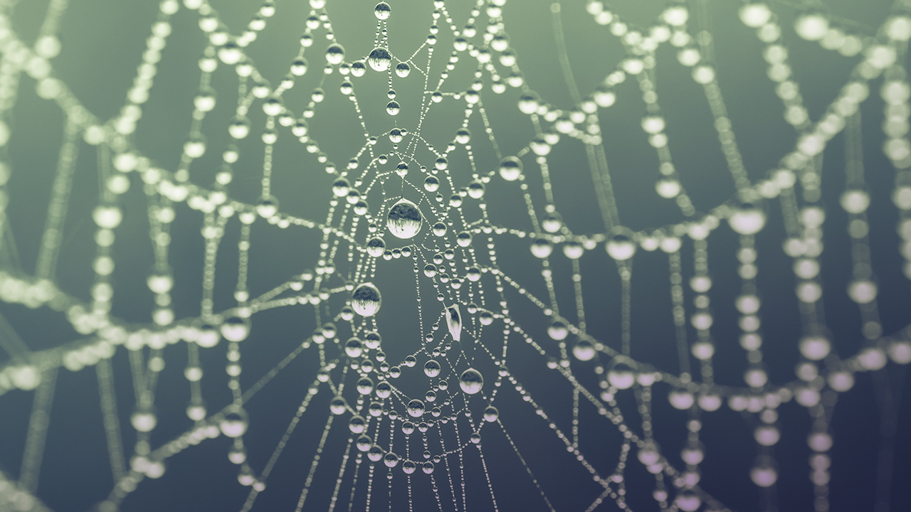 semantic models for credit unions