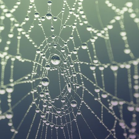 semantic models for credit unions